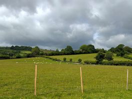 View from the camping field