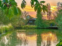 evening shade