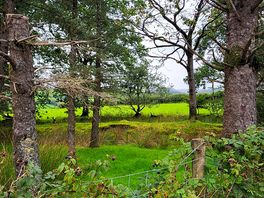 Nearby walks
