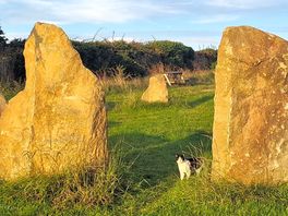 Stone circle with sam the cat