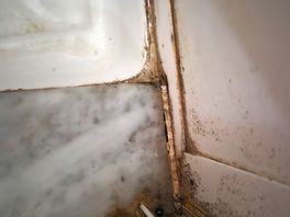 Ladies showers