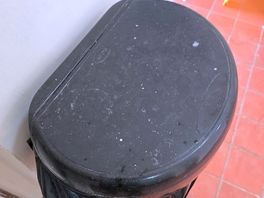 Need gloves to touch the bins