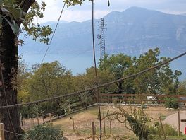 View from tent