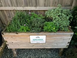 Riverside llangammarch: guests can help themselves from this super herb garden - a lovely touch