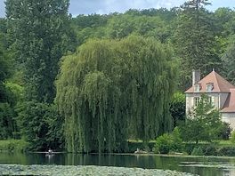 Village view