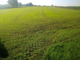 Well-kept pitches