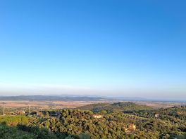 Blick