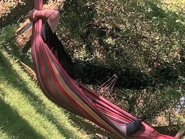 Hammock in wooded area