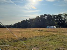 August sunshine