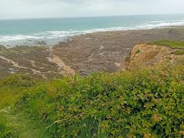 Widemouth bay