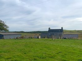 Farm yard