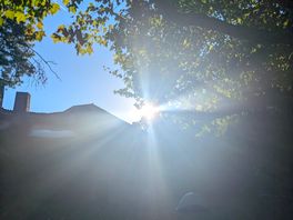 Morning sun over our pitch