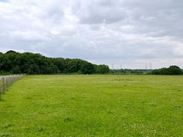 Pitches overlooking grazing fields and woodland
