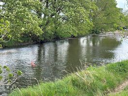 Having a swim in the river by our pitch.