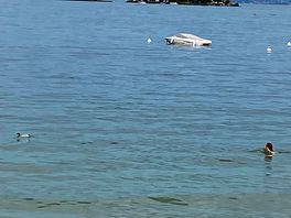 View onda blu
