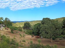 Houses and hills