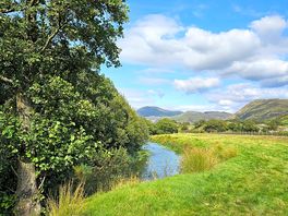The river