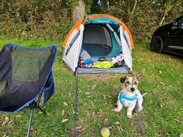 Pitched up