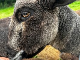 Beautiful mamma