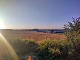 More views