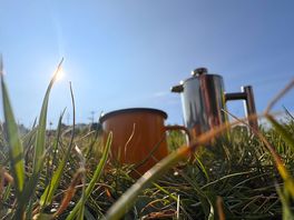 Perfect morning
