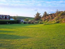 The big field