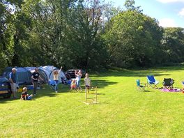 Spacious family pitches in the overflow meadow