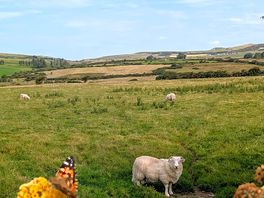 Neighbours