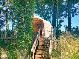 Bell tent among the trees