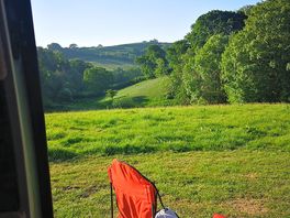 My morning view...