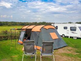 Grass tent pitches