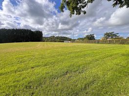 Clean-cut grass