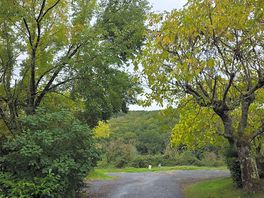 The lovely wooded site