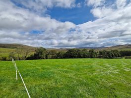 Field