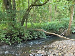 Beautiful little river