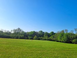 Peaceful and serene.