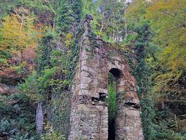 Disused mine shaft in cardinham woods