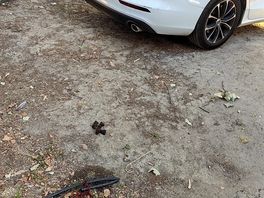The ground next to our car
