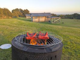 Evening bbq