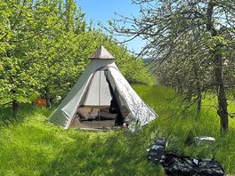 Orchard
