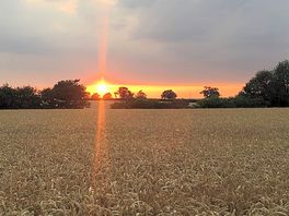 Rural views