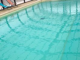 La piscine