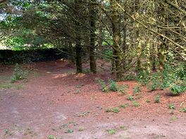 Woodlands