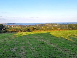 View from field