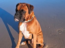 He loves the beach