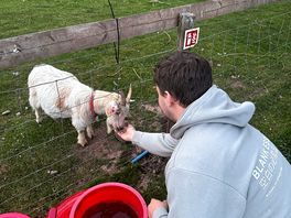 Feeding