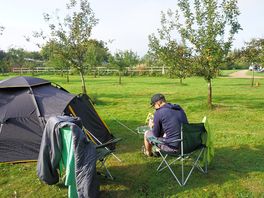 Camping at The Holford Arms