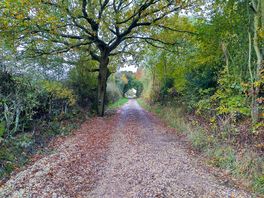 Walk on site to the woodlands