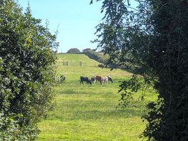 View from campsite