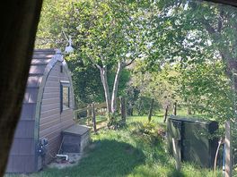 Some of the surrounding nature.